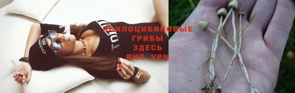 стафф Горнозаводск