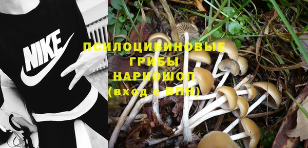 стафф Горнозаводск