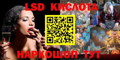 a pvp Свободный
