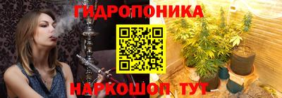 a pvp Свободный