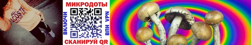 магазин продажи наркотиков  это телеграм  Псилоцибиновые грибы Psilocybine cubensis  Моршанск  kraken ссылки 