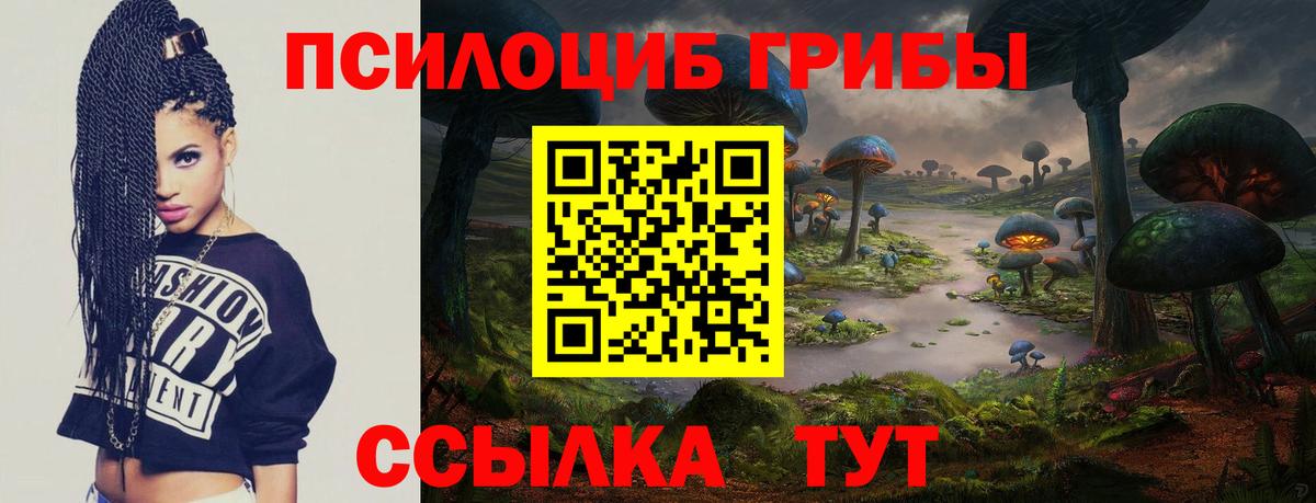 Псилоцибиновые грибы мицелий  Вход с VPN  Моршанск 